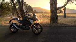 G 310 GS - Edition 40 Years GS